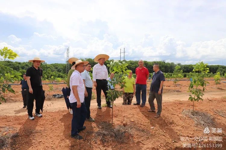 1720520147995056112.jpg 1720520147995056112.jpg