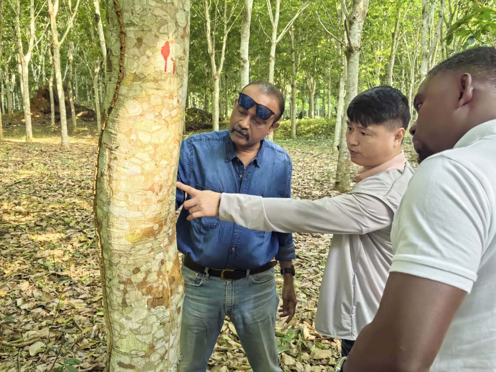 1721123933629067271.jpg 1721123933629067271.jpg