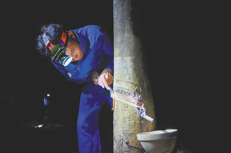 1733300716216054612.jpg 1733300716216054612.jpg