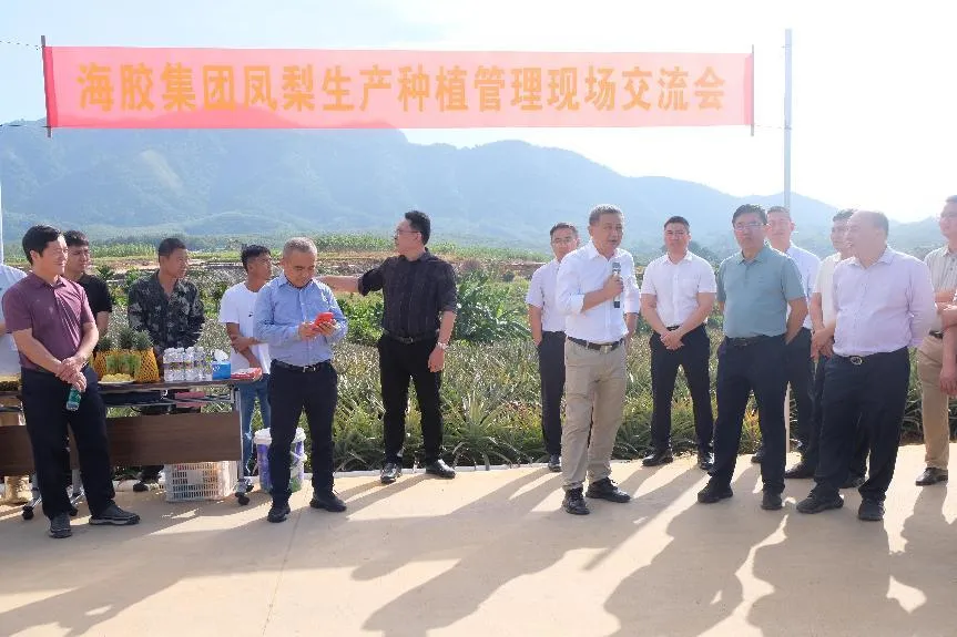 1733709880733086112.jpg 1733709880733086112.jpg