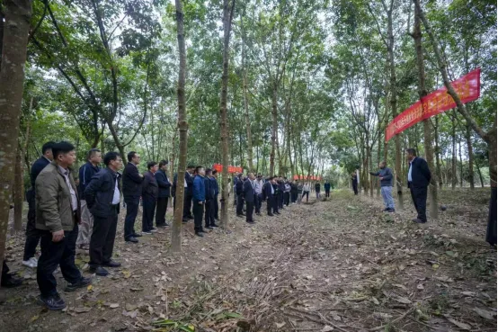 1763820940185065537.jpg 1763820940185065537.jpg