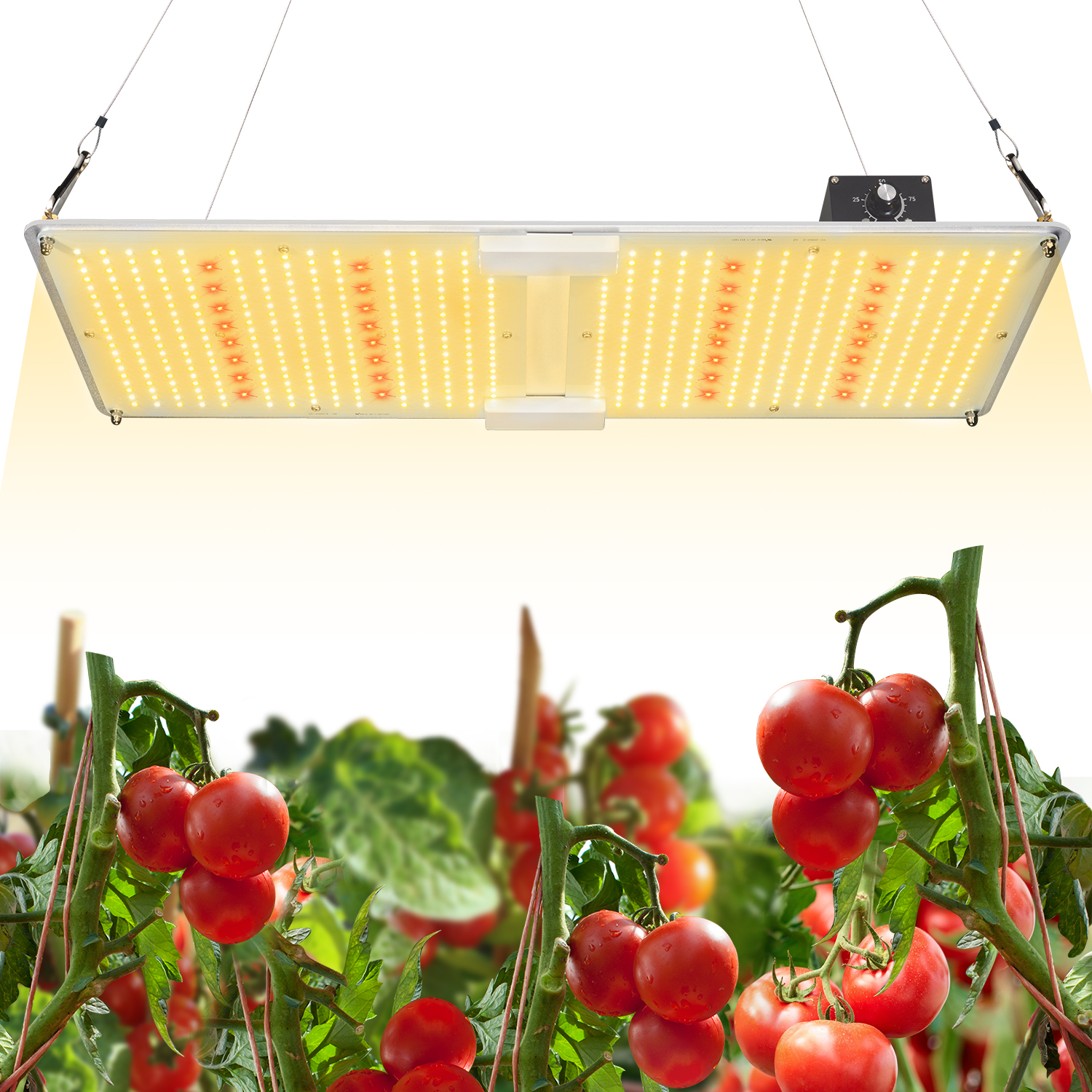 艾博特YC系列2000M詳情頁