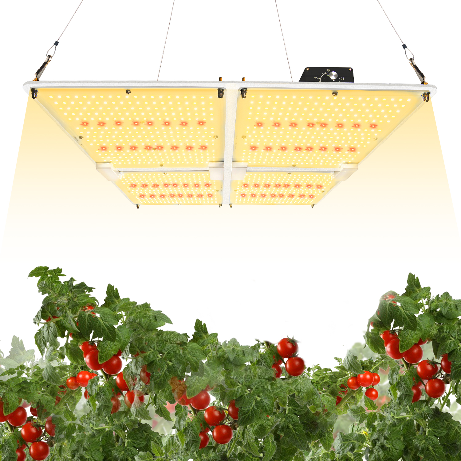 艾博特YC系列4000M詳情頁