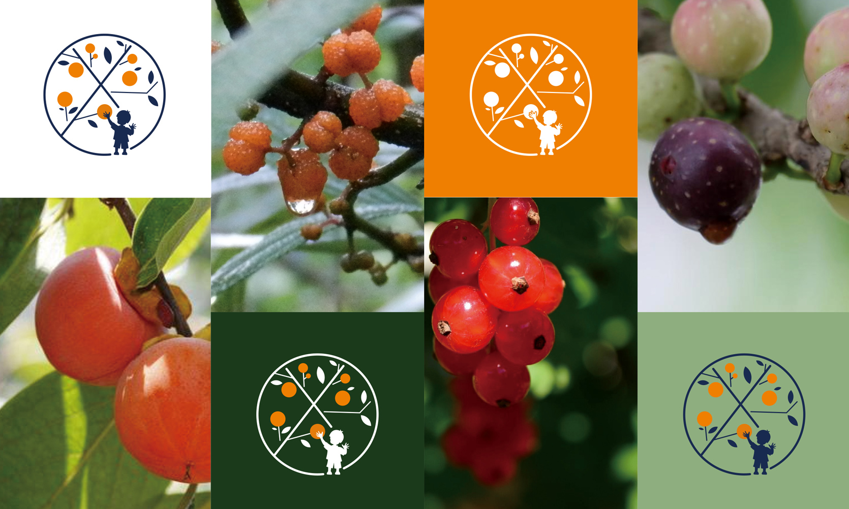 果汁品牌設(shè)計，新式茶飲品牌設(shè)計，奶茶品牌設(shè)計，奶茶品牌logo設(shè)計，飲品品牌logo設(shè)計