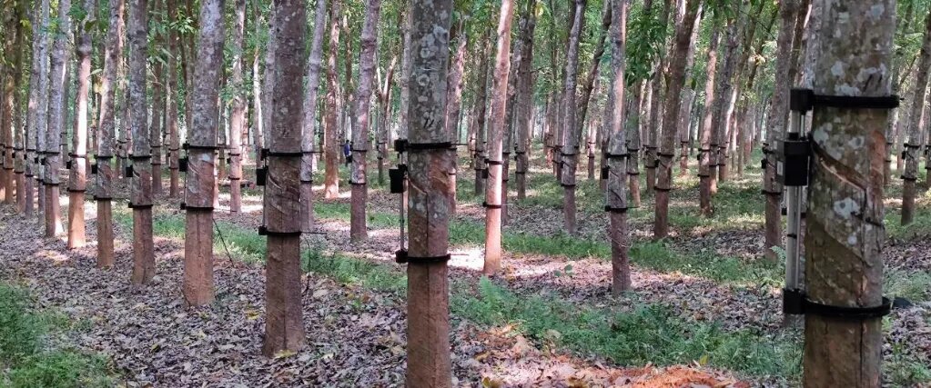 1768182277100068428.jpg 1768182277100068428.jpg